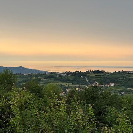 Guesthouse Green Istria Truške Eksteriør bilde