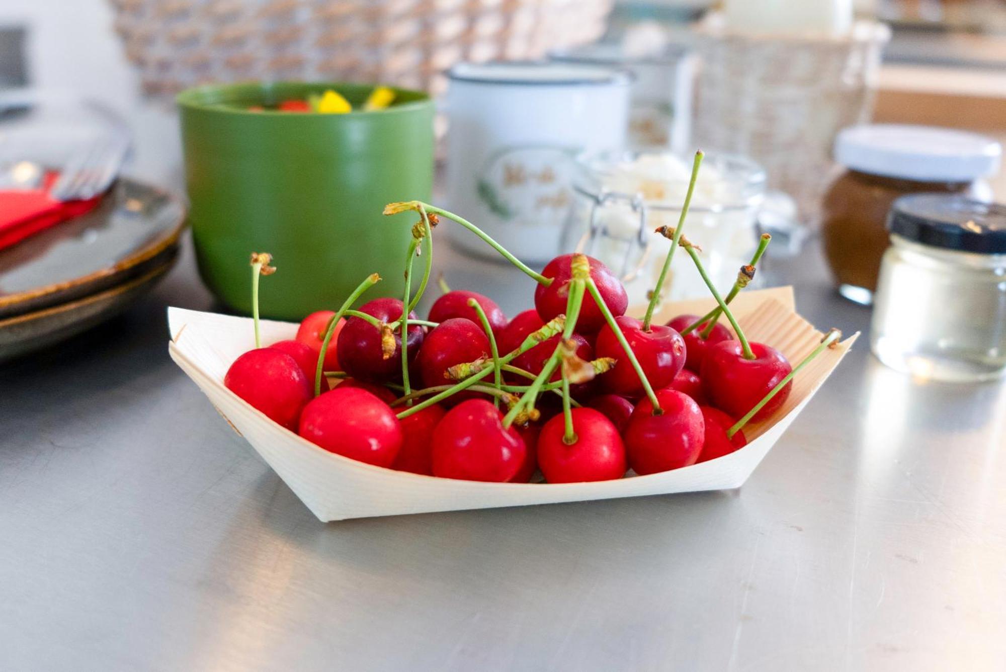 Guesthouse Green Istria Truške Eksteriør bilde