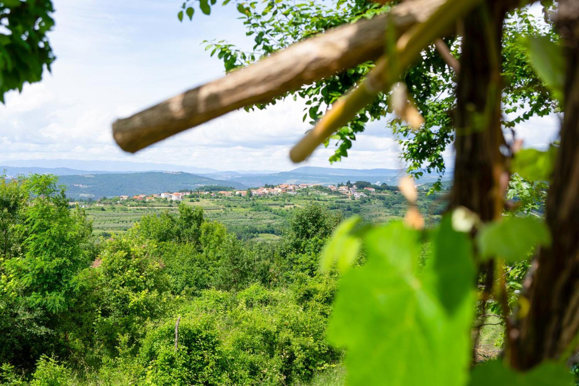 Guesthouse Green Istria Truške Eksteriør bilde