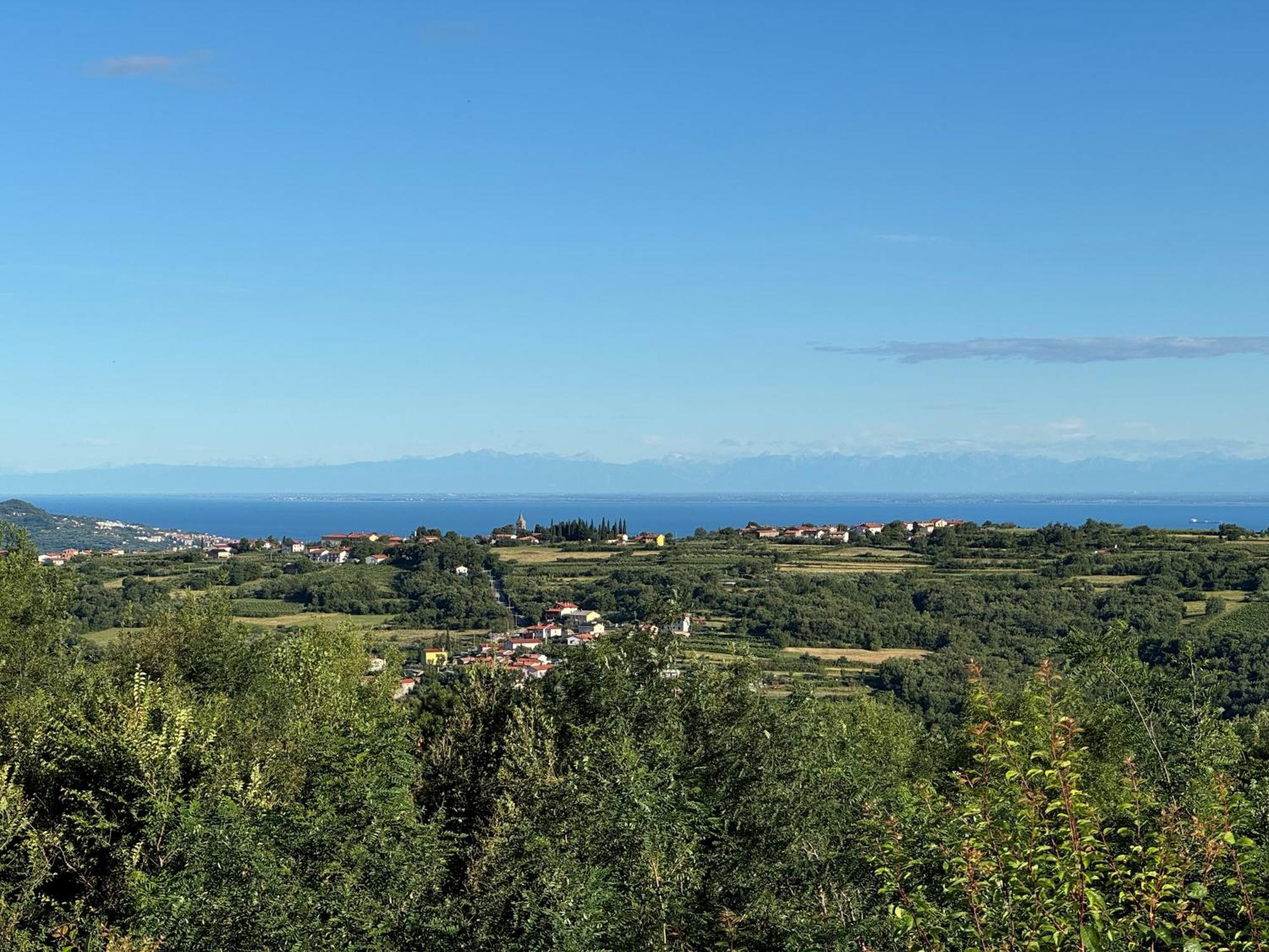 Guesthouse Green Istria Truške Eksteriør bilde