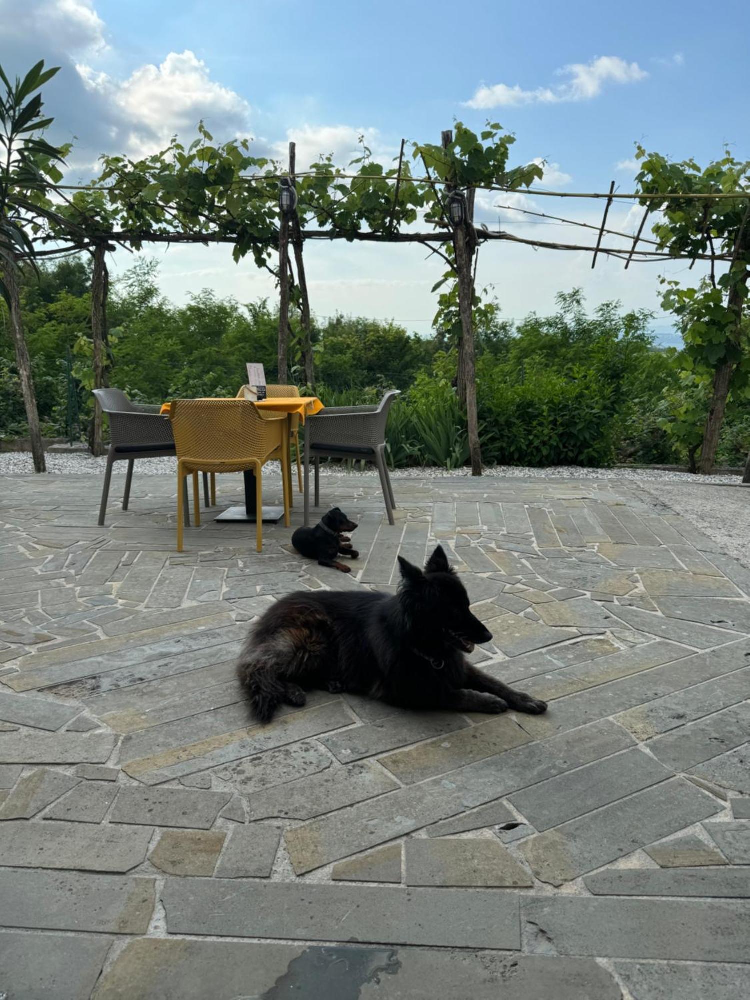 Guesthouse Green Istria Truške Eksteriør bilde