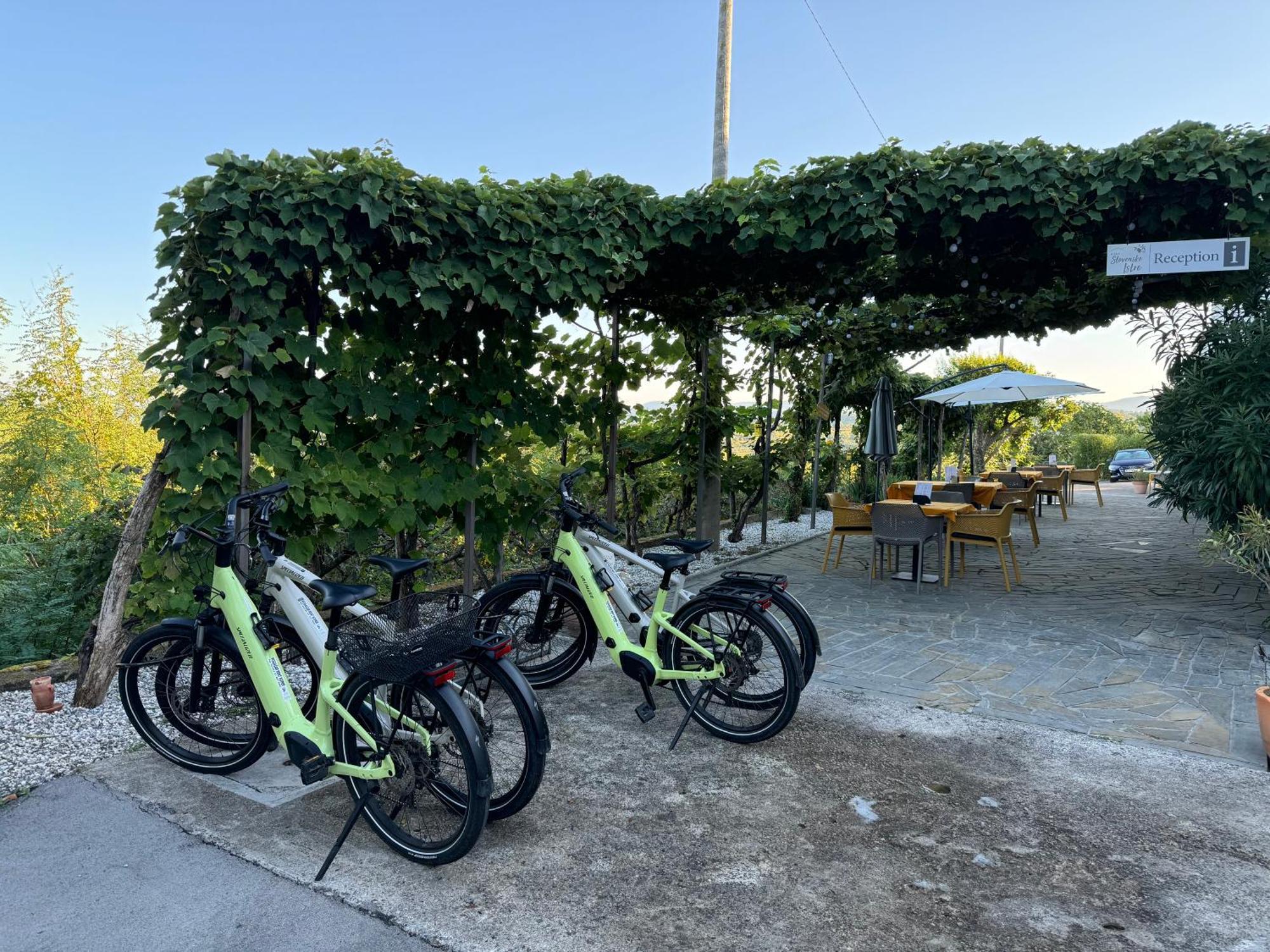 Guesthouse Green Istria Truške Eksteriør bilde