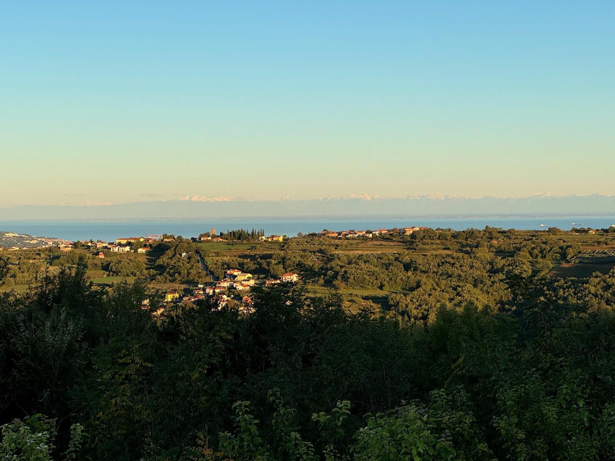 Guesthouse Green Istria Truške Eksteriør bilde